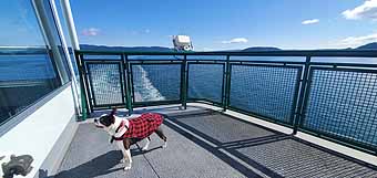 Ferry to San Juan Islands